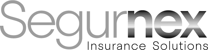 logo SEGURNEX