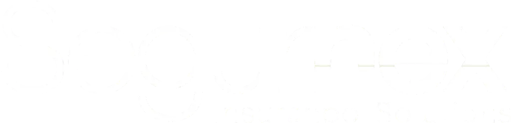 logo-SEGURNEX_BLANC